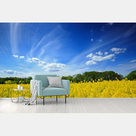 Fototapete polnisches rapsfeld unter blauem himmel – Pixers®