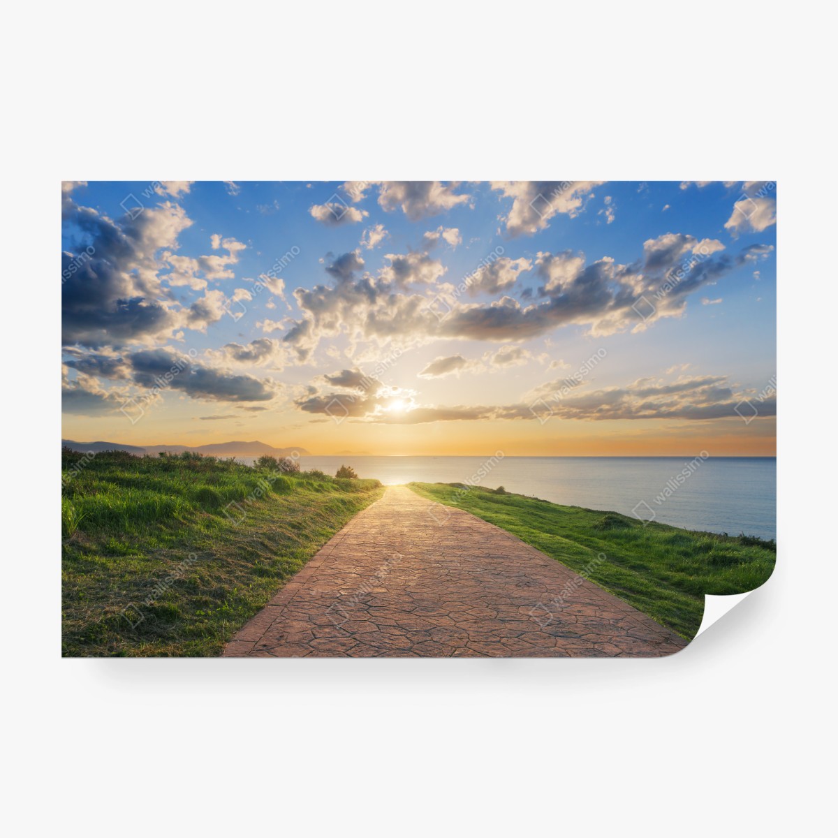 Fototapete weg zum meer bei sonnenaufgang – Pixers®