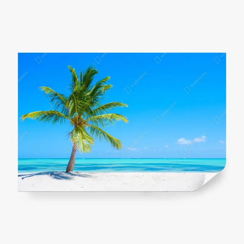 Fototapete tropische palme am weißen sandstrand