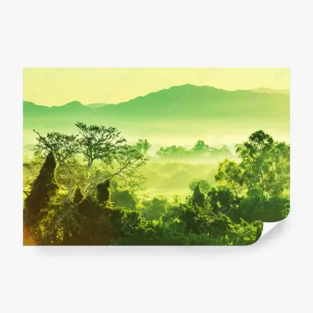 Fototapete üppige tropische dschungellandschaft – Pixers®