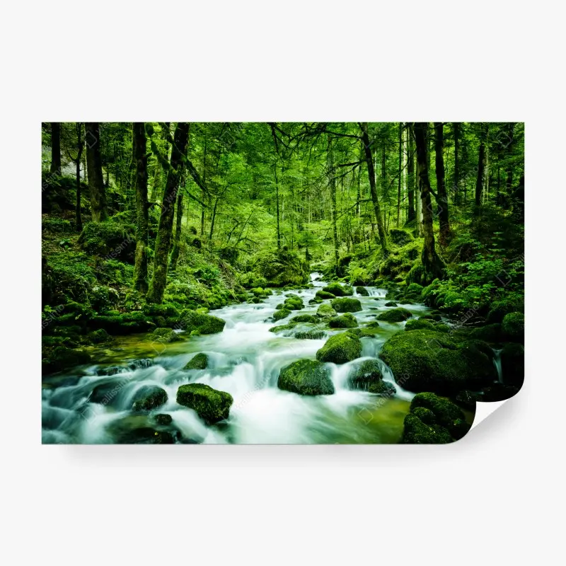 Fototapete moosbedeckter waldbach