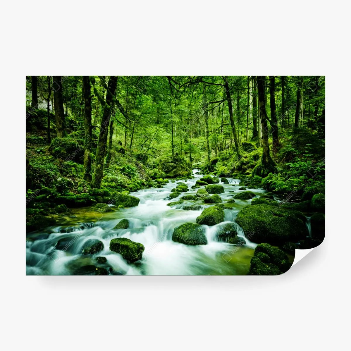 Fototapete moosbedeckter waldbach – Pixers®