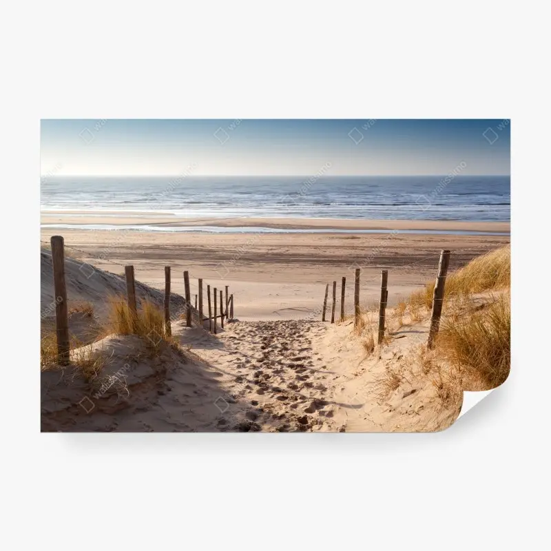 Fototapete sonniger weg zur Nordsee