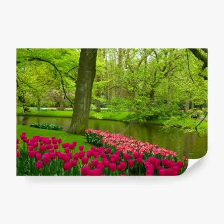 Fototapete frühlings-tulpengarten am kanal – Pixers®
