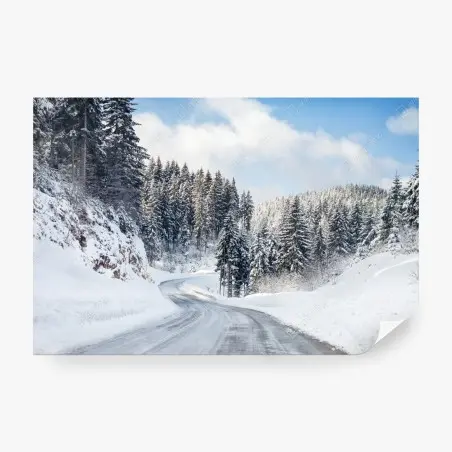 Fototapete winterstraße durch verschneiten nadelwald – Pixers®