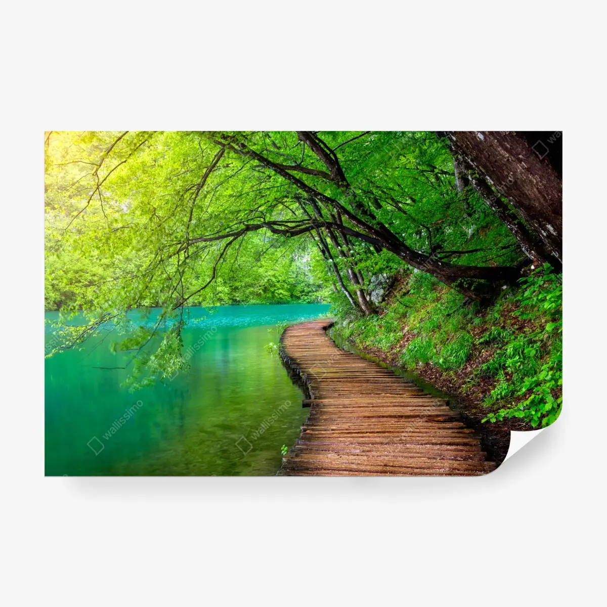 Fototapete ruhiger holzsteg am see im grünen wald – Pixers®
