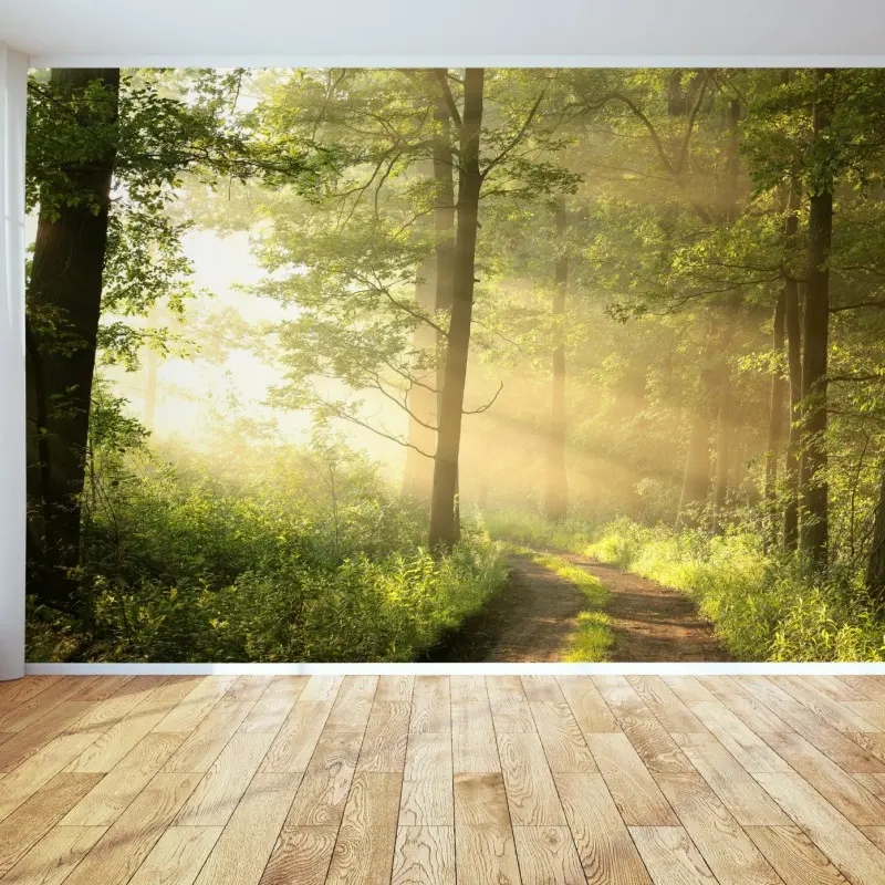 Fototapete morgendliches licht im wald