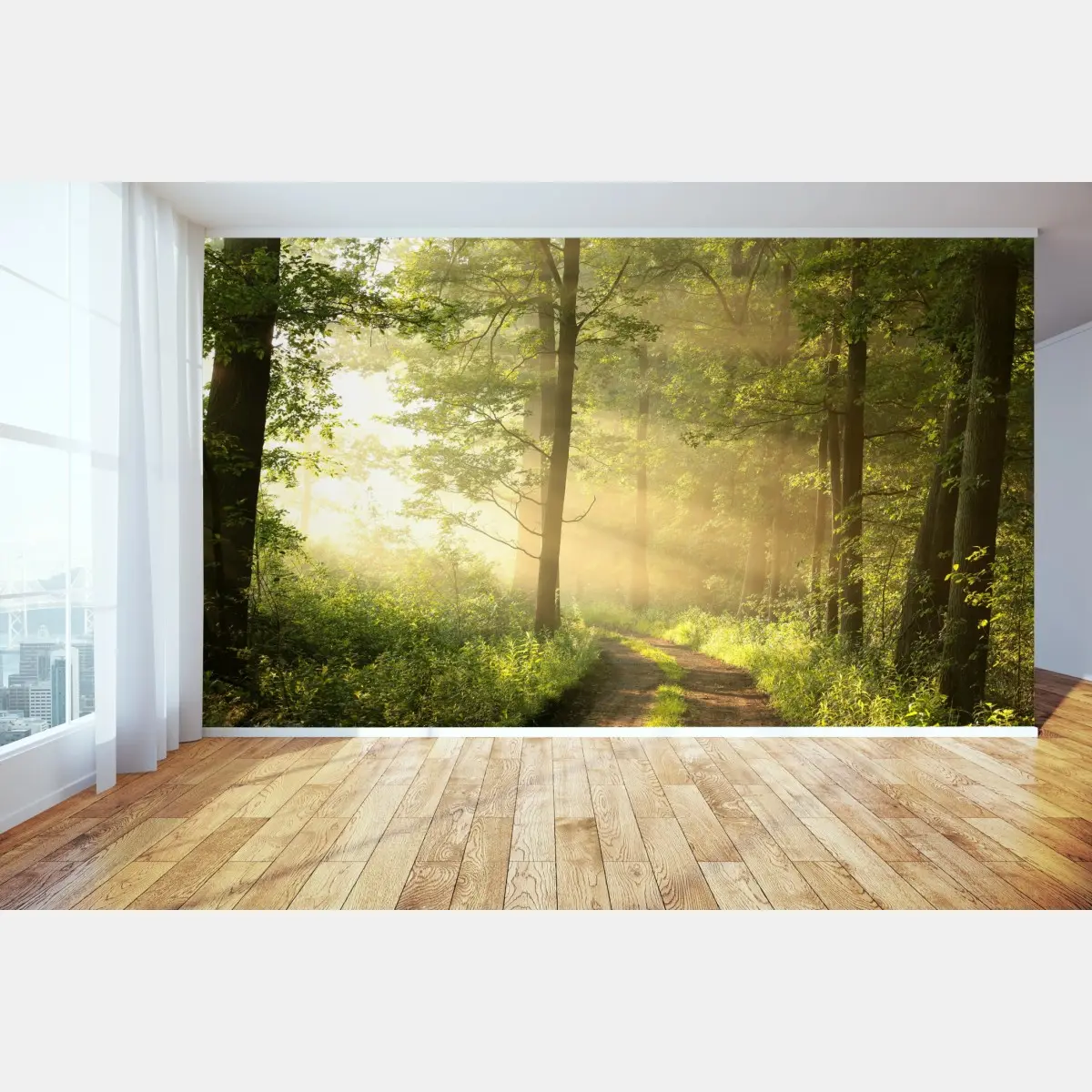 Fototapete morgendliches licht im wald – Pixers®