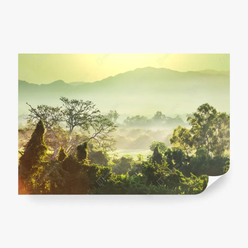 Fototapete nebliger dschungel in Vietnam bei sonnenaufgang