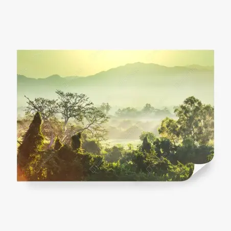 Fototapete nebliger dschungel in Vietnam bei sonnenaufgang – Pixers®