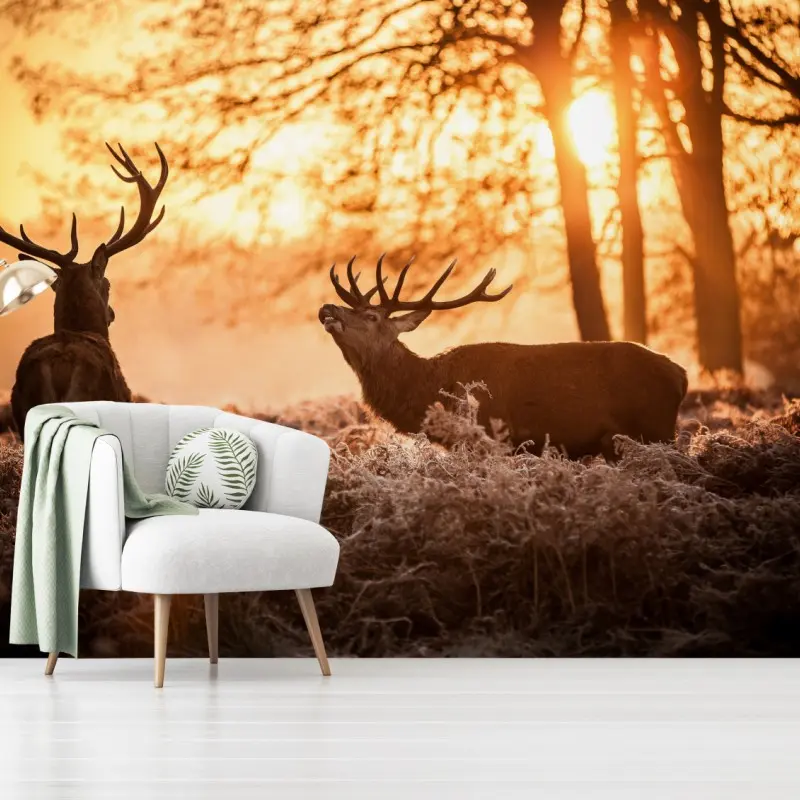 Fototapete goldener sonnenaufgang mit hirschen auf frostiger wiese