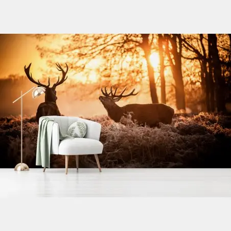 Fototapete goldener sonnenaufgang mit hirschen auf frostiger wiese – Pixers®