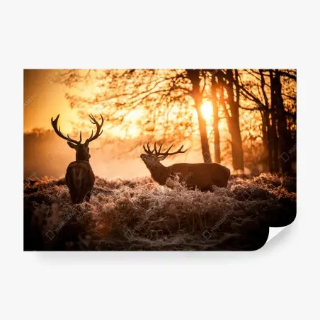 Fototapete goldener sonnenaufgang mit hirschen auf frostiger wiese – Pixers®