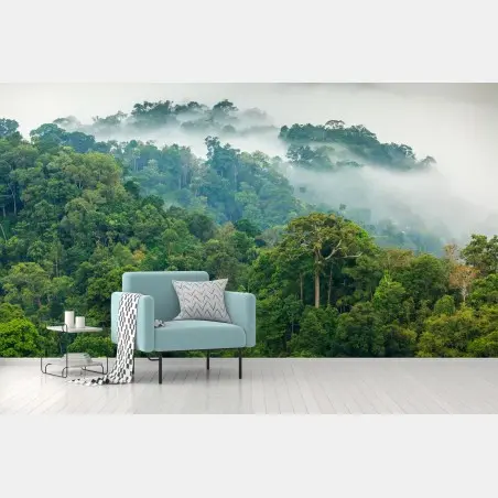 Fototapete morgendlicher nebel über dem wald von Kaeng Krachan – Pixers®