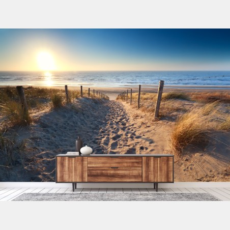 Fototapete sonnenuntergangspfad zum meer in Zandvoort – Pixers®
