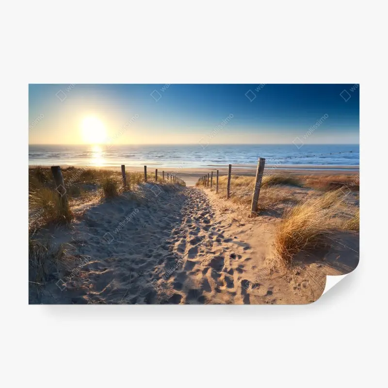 Fototapete sonnenuntergangspfad zum meer in Zandvoort