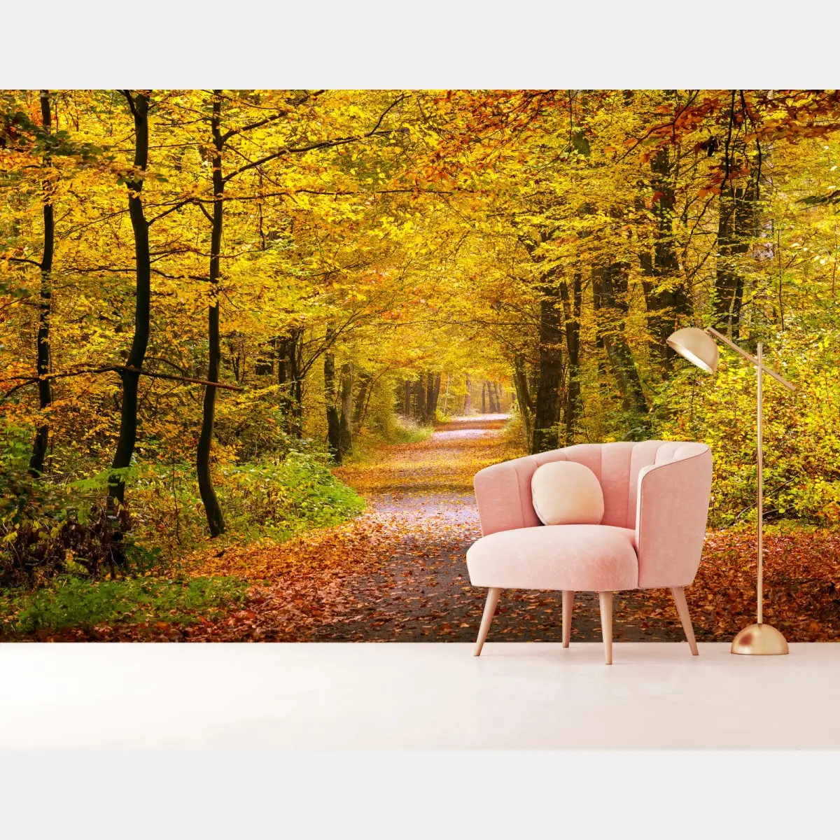 Fototapete goldener herbstwaldweg – Pixers®