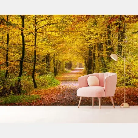 Fototapete goldener herbstwaldweg – Pixers®