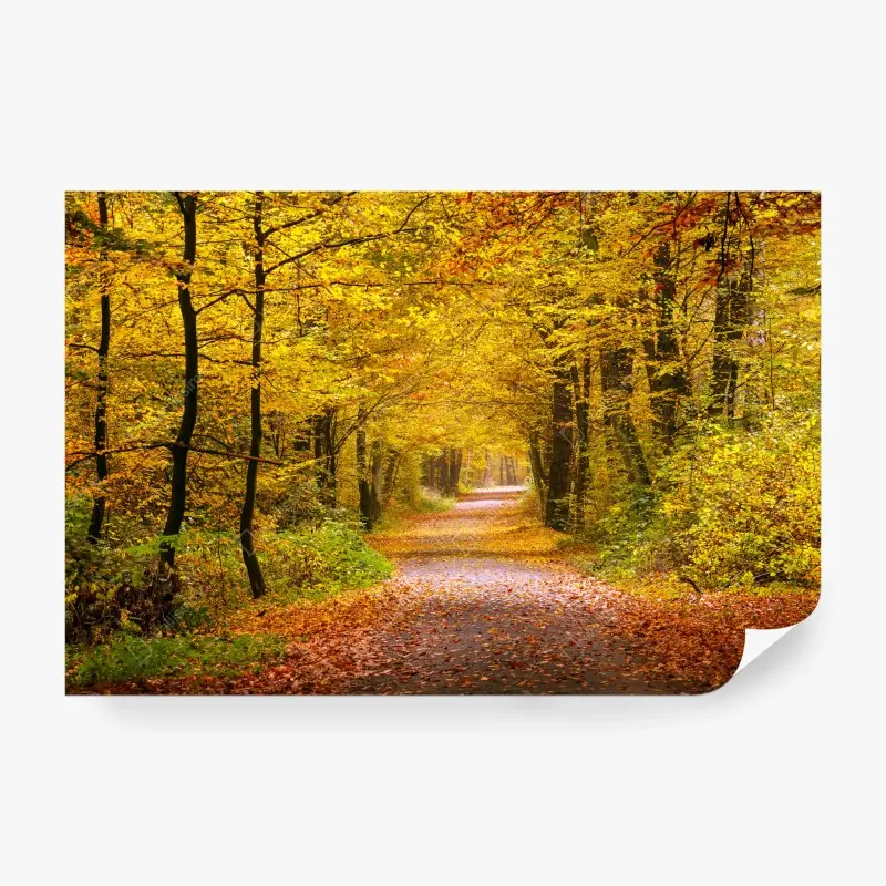 Fototapete goldener herbstwaldweg