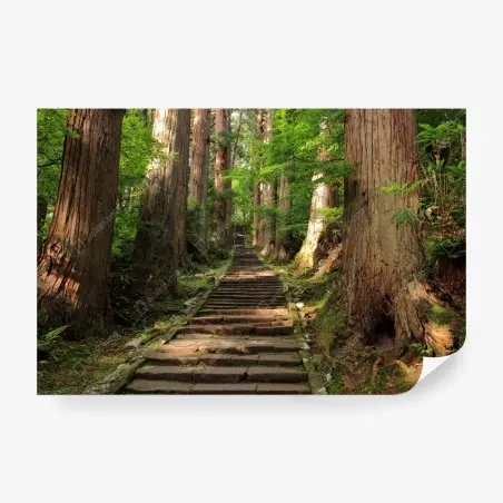 Fototapete steinne treppe im alten wald – Pixers®