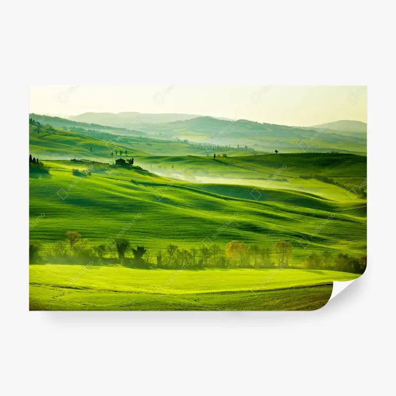 Fototapete sonnige sanft hügelnde landschaft der Toskana