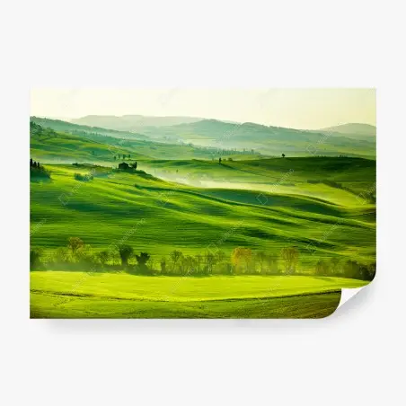 Fototapete sonnige sanft hügelnde landschaft der Toskana – Pixers®