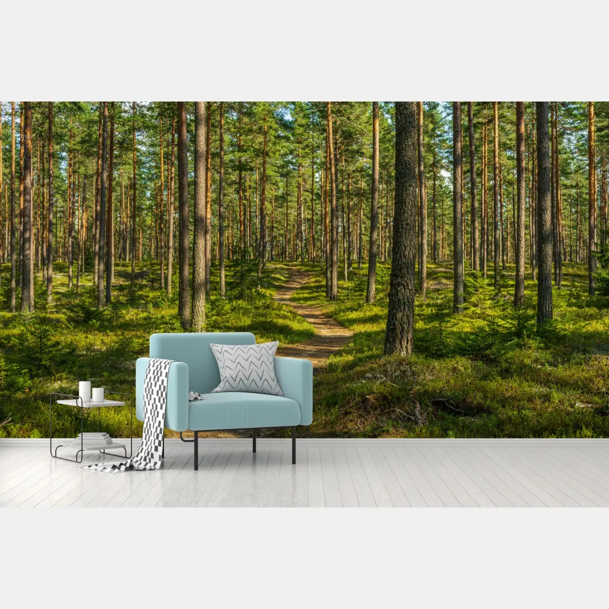 Fototapete sonniger kiefernwaldweg – Pixers®