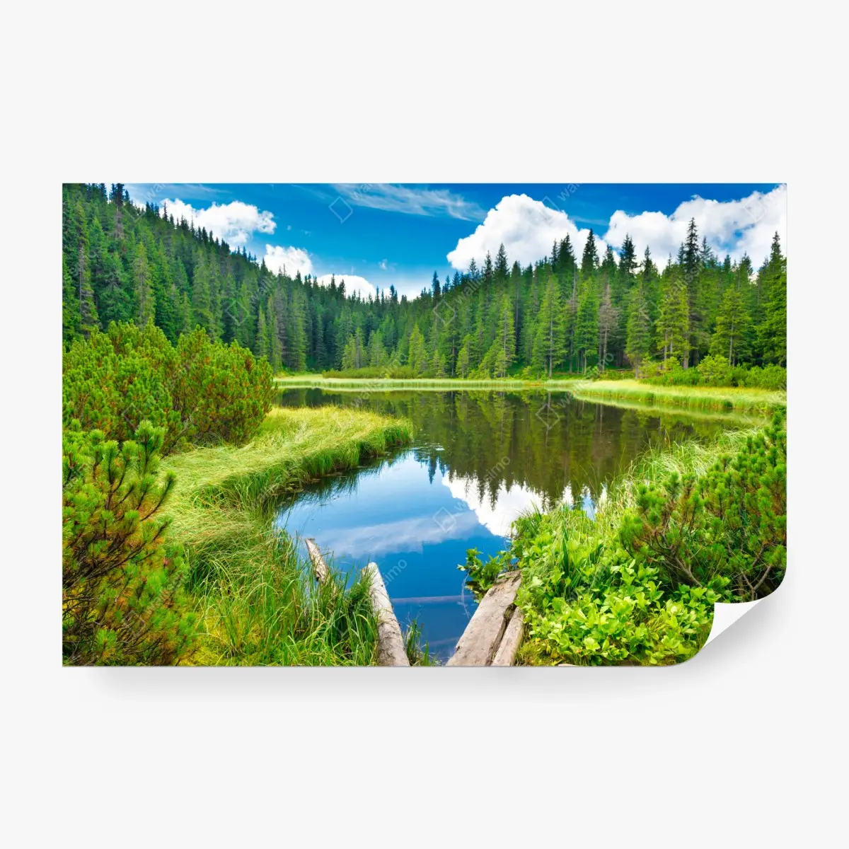 Fototapete ruhiger waldsee mit hölzerner brücke – Pixers®