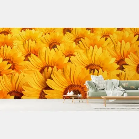 Fototapete goldenes sonnenblumenfeld – Pixers®
