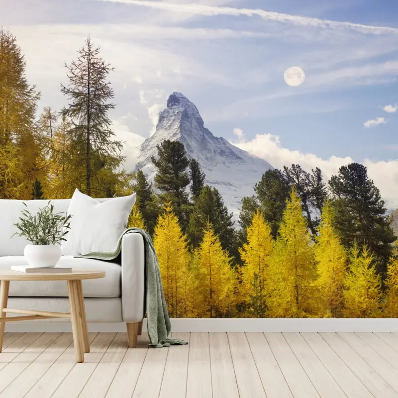 Fototapete goldene lärchen und Matterhorn