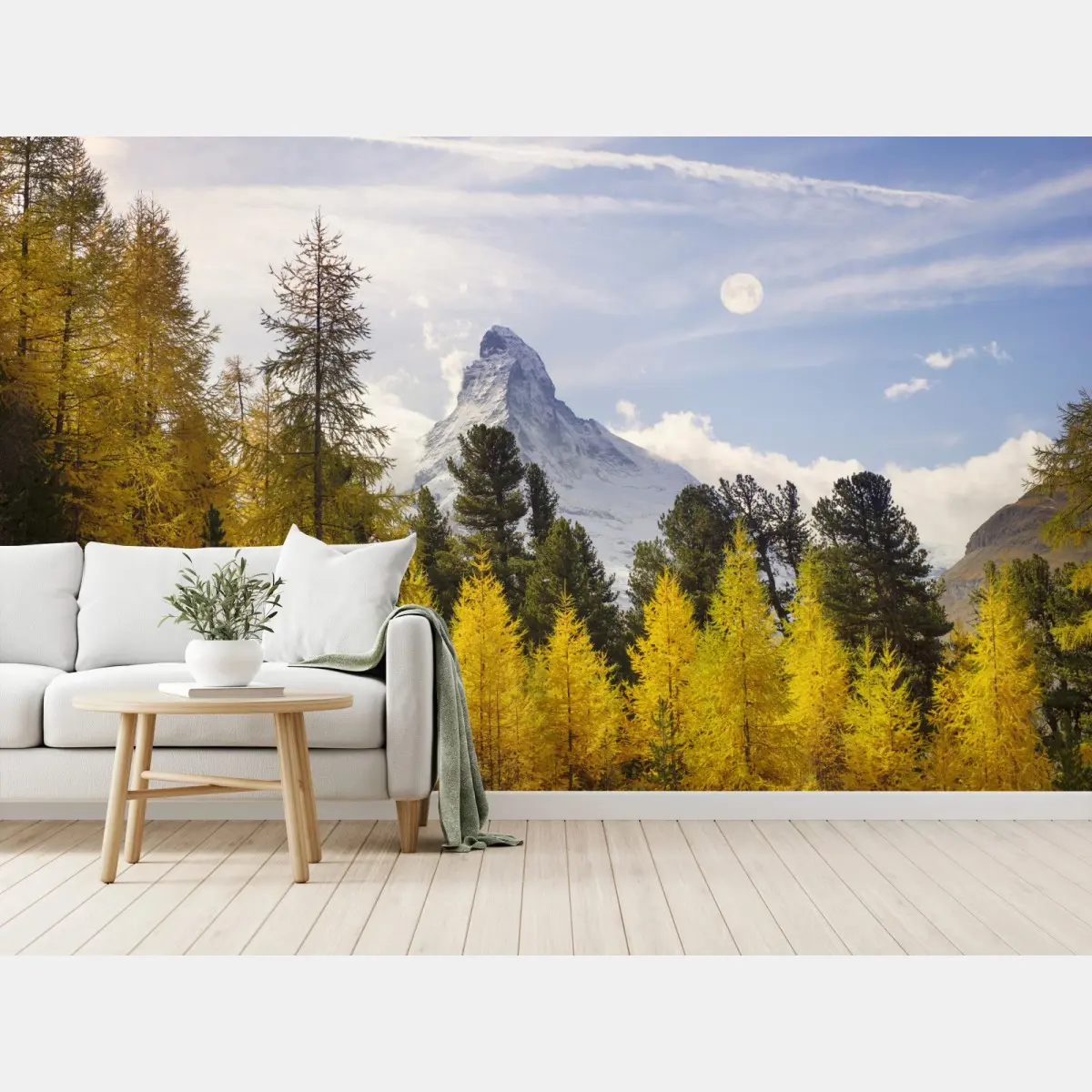 Fototapete goldene lärchen und Matterhorn – Pixers®