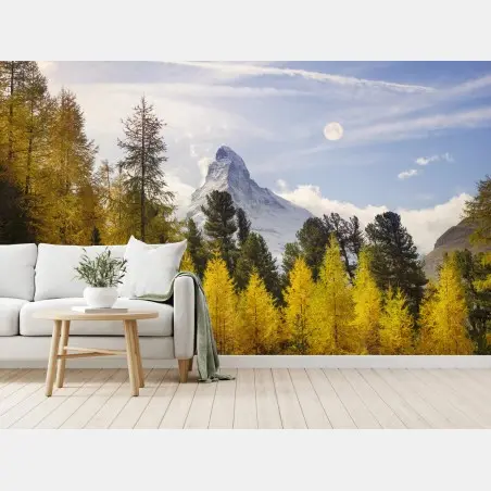Fototapete goldene lärchen und Matterhorn – Pixers®