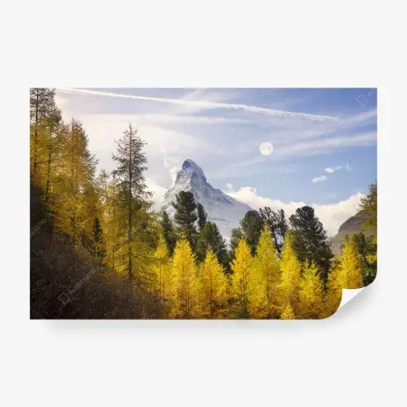 Fototapete goldene lärchen und Matterhorn – Pixers®