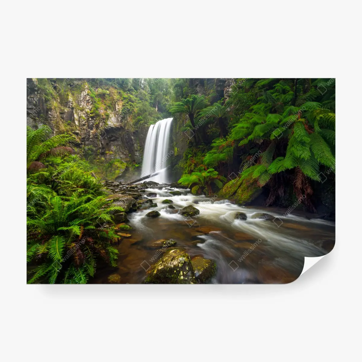 Fototapete üppiger wasserfall im farnwald – Pixers®