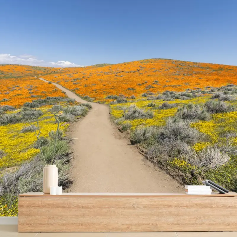 Fototapete pfad durch den mohn-superbloom in Südkalifornien