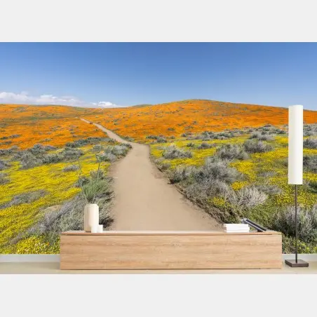 Fototapete pfad durch den mohn-superbloom in Südkalifornien – Pixers®