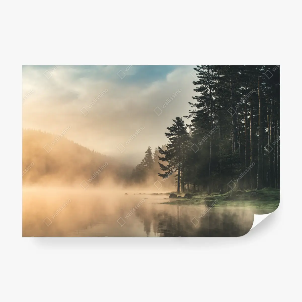 Fototapete nebliger sonnenaufgang über waldsee – Pixers®