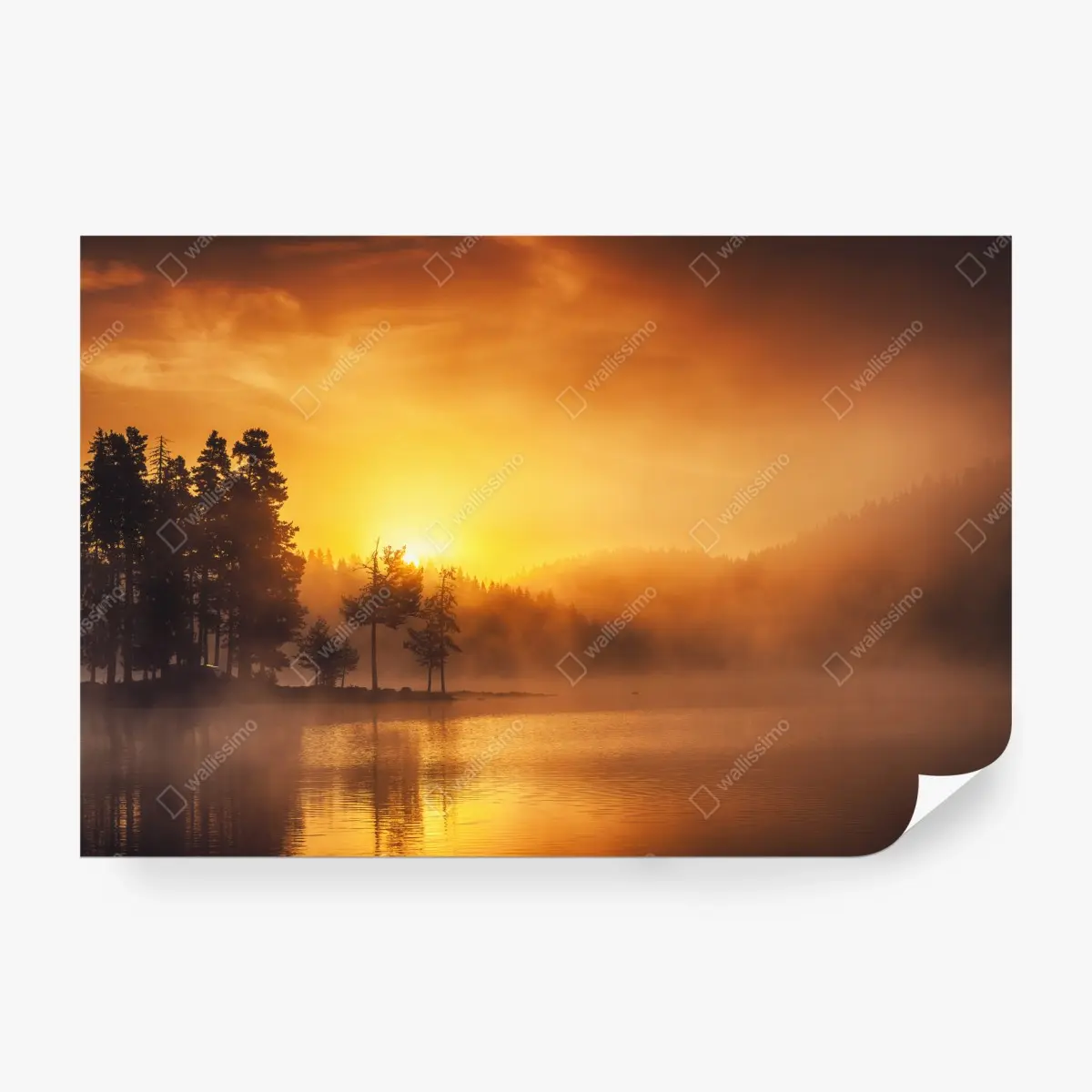 Fototapete goldener sonnenaufgang über dem nebligen see – Pixers®