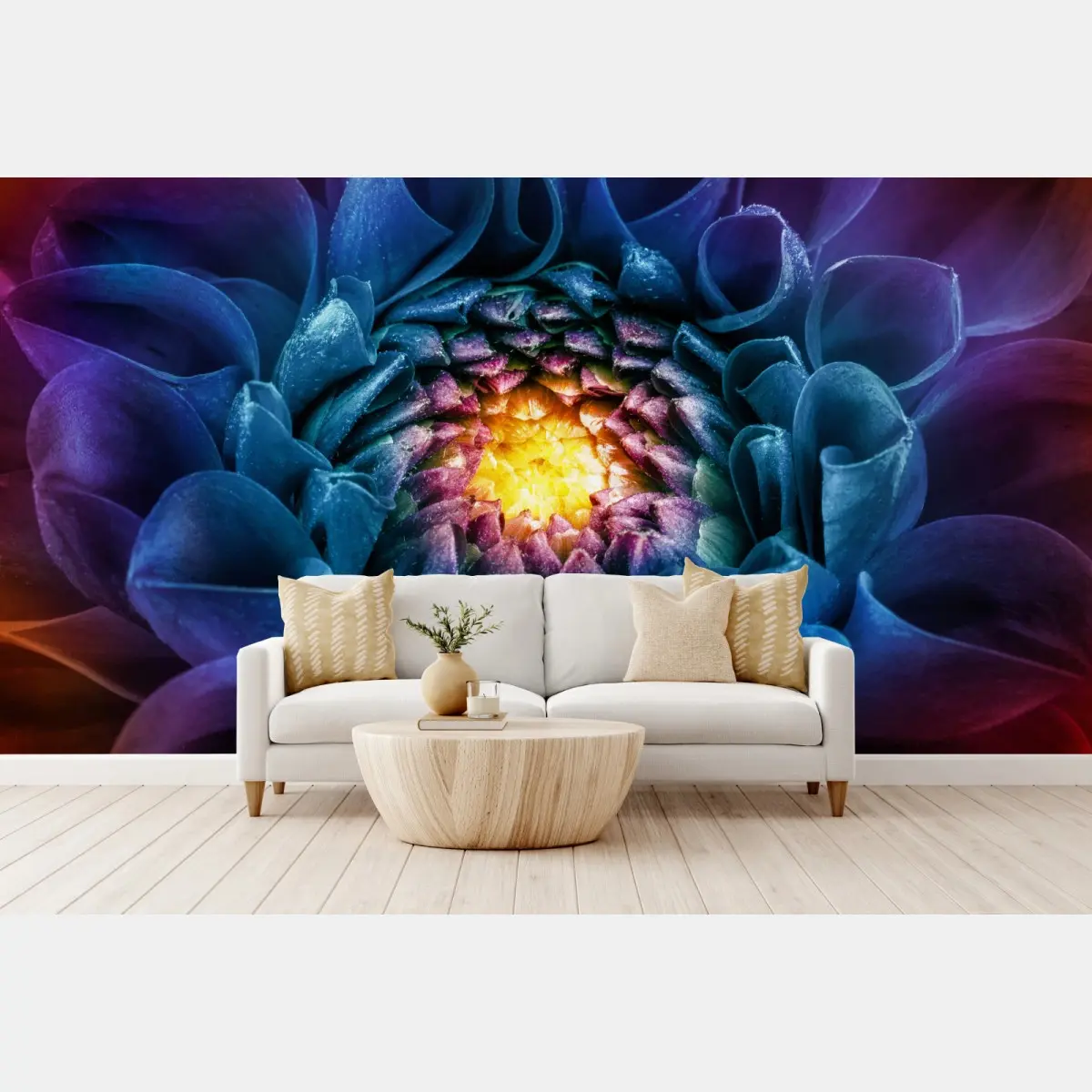 Fototapete leuchtende blaue chrysantheme nahaufnahme – Pixers®