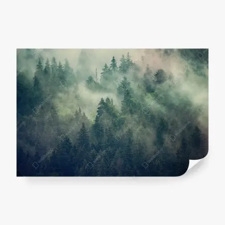 Fototapete nebliger immergrüner wald – Pixers®