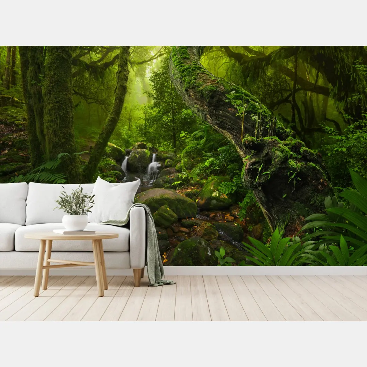 Fototapete moosiger waldbach im morgenlicht – Pixers®