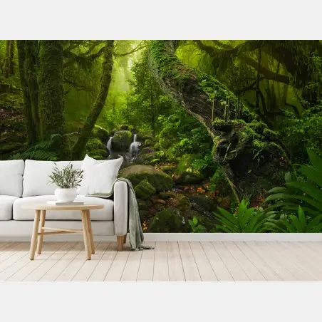 Fototapete moosiger waldbach im morgenlicht – Pixers®