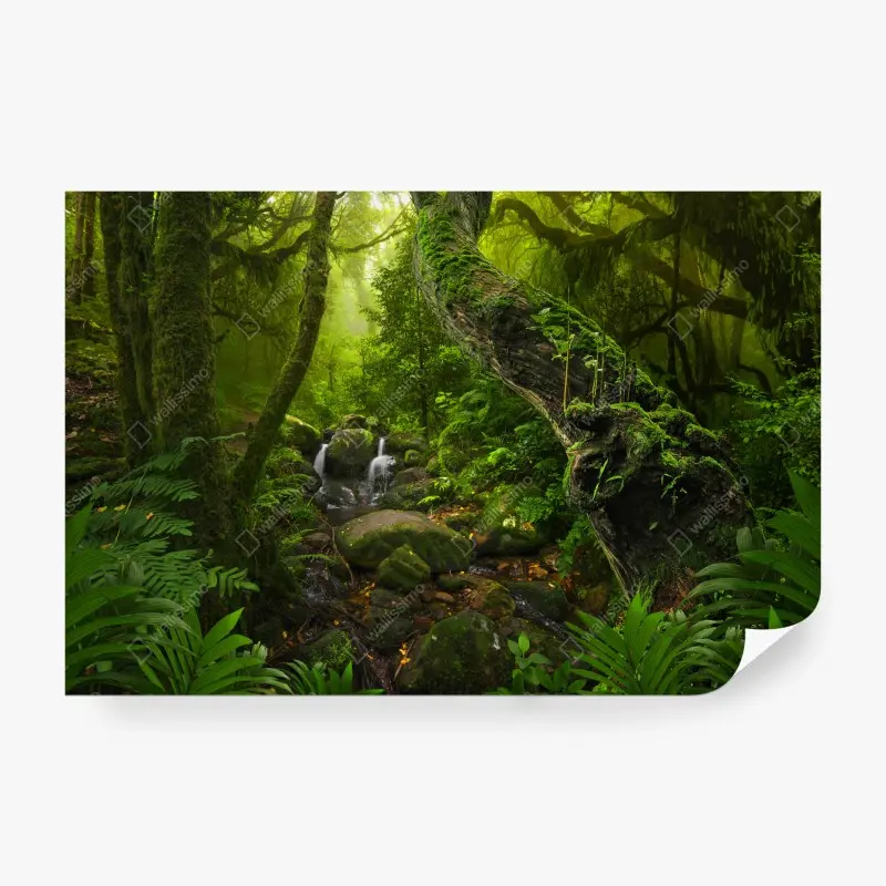Fototapete moosiger waldbach im morgenlicht