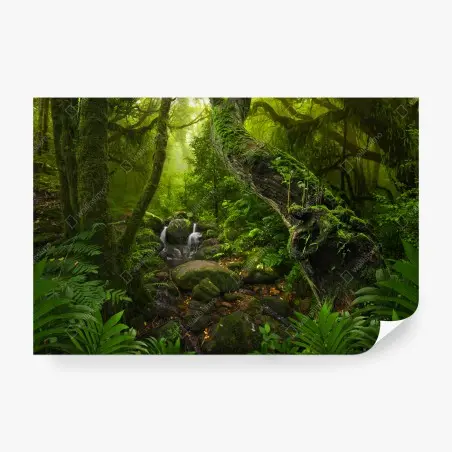 Fototapete moosiger waldbach im morgenlicht – Pixers®
