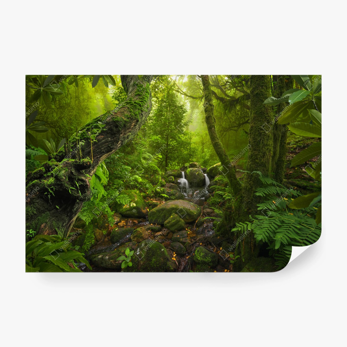 Fototapete üppiger grüner wald mit bach – Pixers®