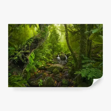 Fototapete üppiger grüner wald mit bach – Pixers®