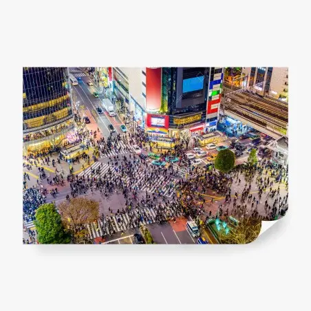 Fototapete Shibuya nächtliche kreuzung – Pixers®