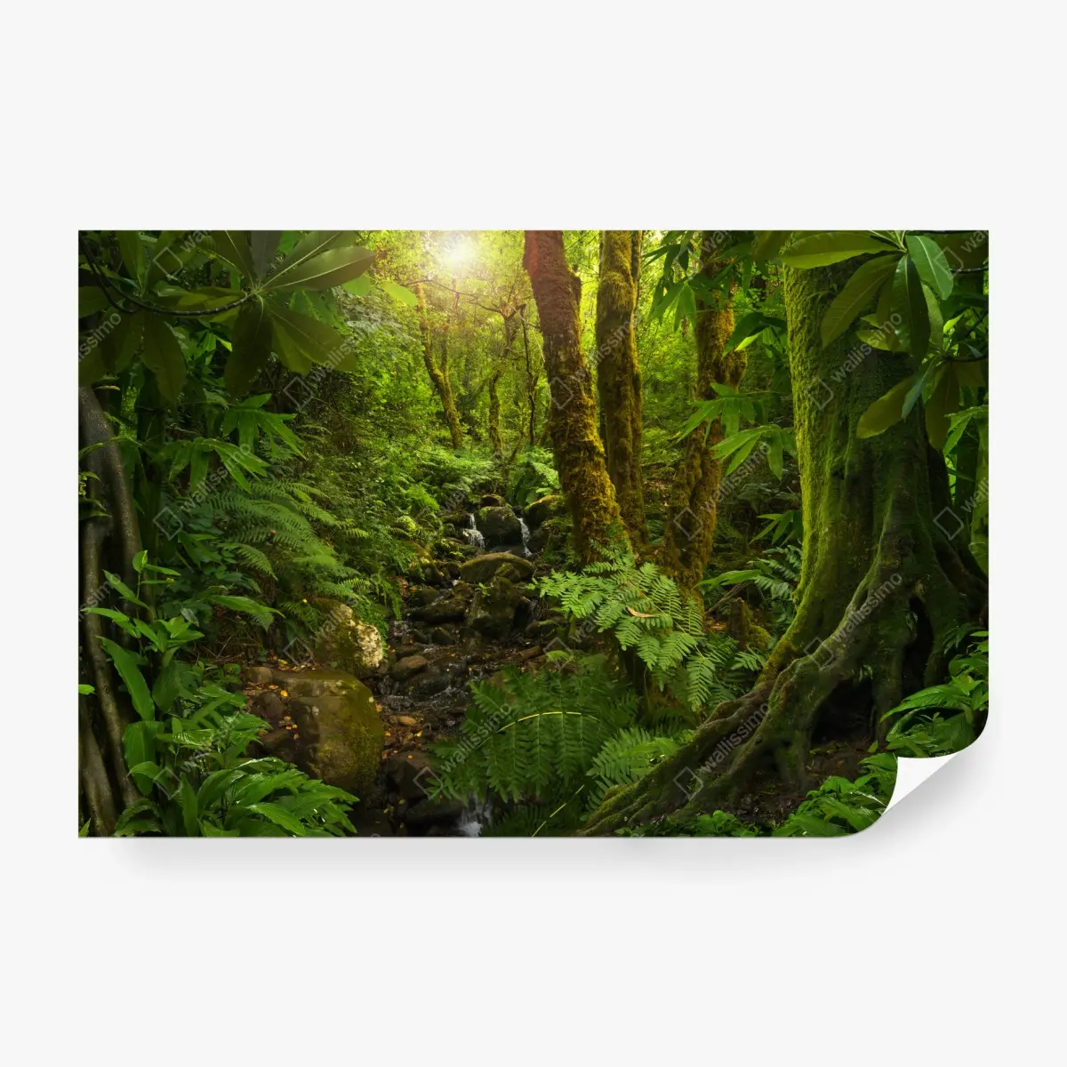 Fototapete moosiger waldbach im sonnenlicht – Pixers®