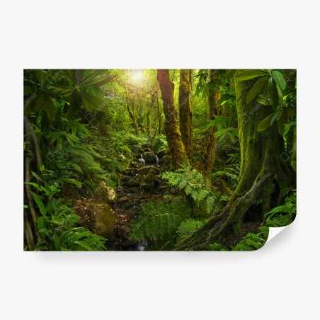 Fototapete moosiger waldbach im sonnenlicht – Pixers®