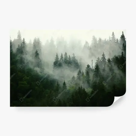 Fototapete nebliger nadelwald – Pixers®